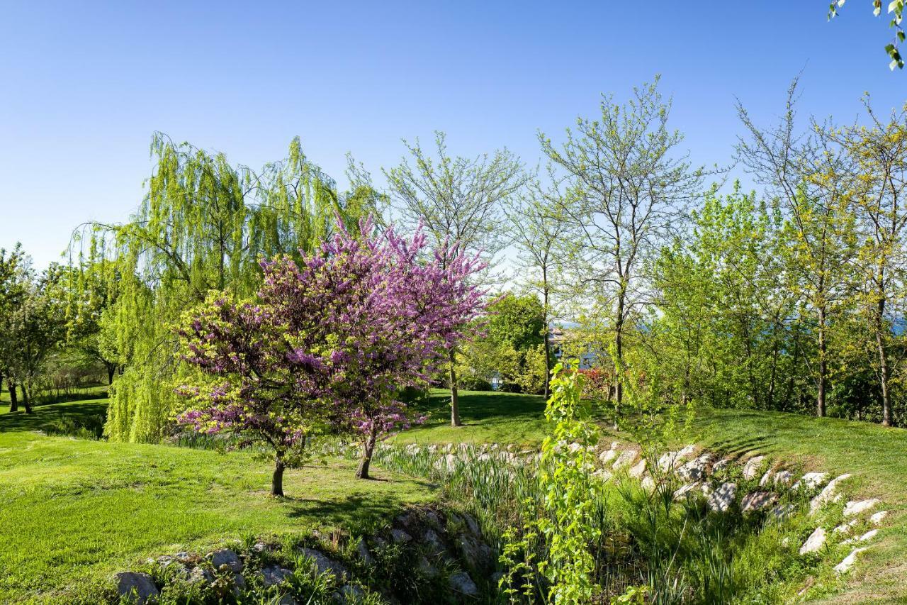 Parc Hotel Germano Suites&Apartments Bardolino Esterno foto